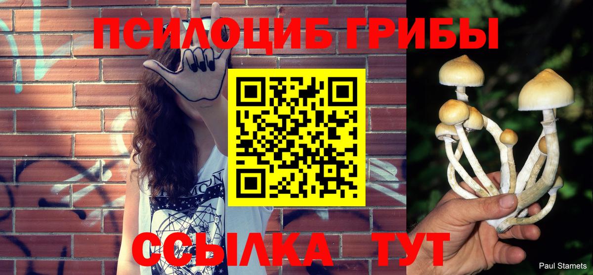 Тула  Галлюциногенные грибы мицелий  Вход с VPN 