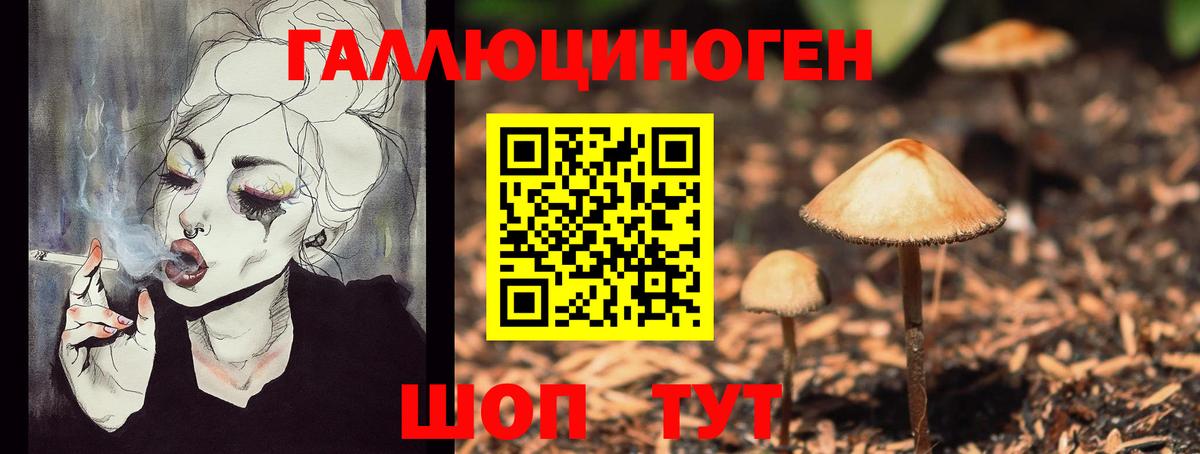 Псилоцибиновые грибы Psilocybine cubensis Тула